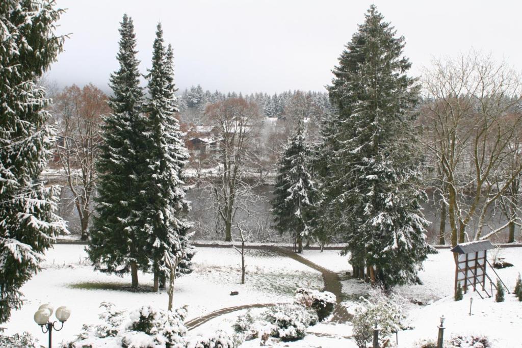 Dein Hotel - Goslar Hahnenklee ภายนอก รูปภาพ